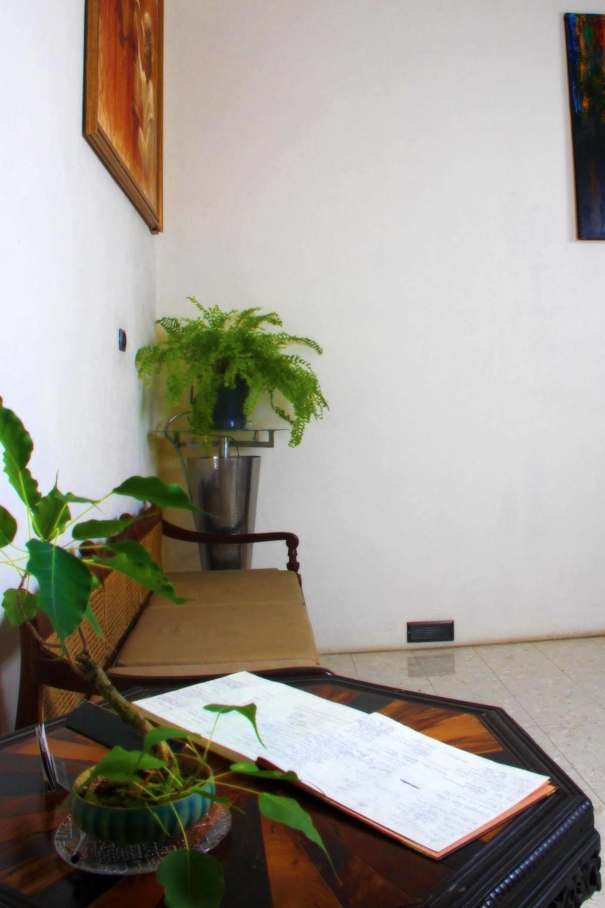 Lodge 19 Negombo Exteriér fotografie